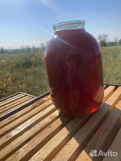Мёд гречишный натуральный 2023года от пчеловода