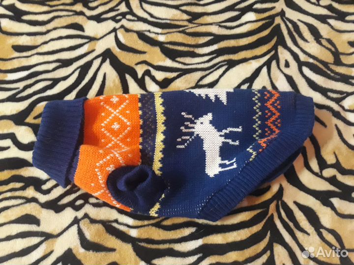 Одежда для собак