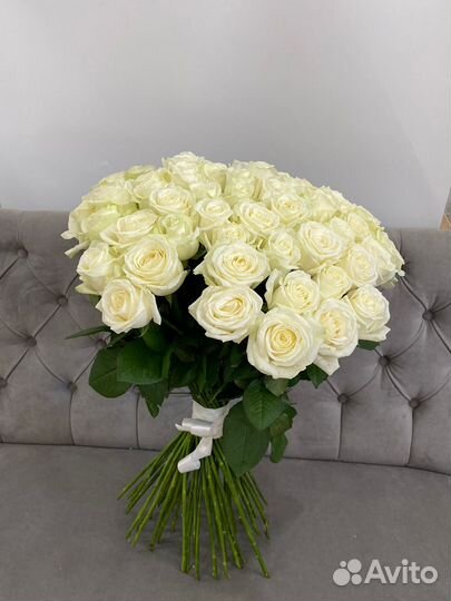 51 белая роза 70 см букет белых роз с доставкой