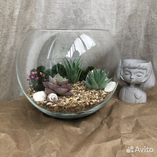 Флорариум суккуленты