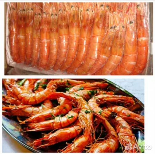 Лангустины креветки