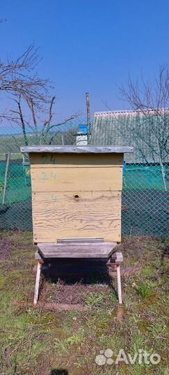 Продам ульи для пчел