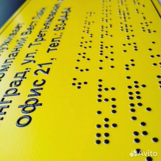 Тактильные таблички Брайля, Пиктограммы Мнемосхемы