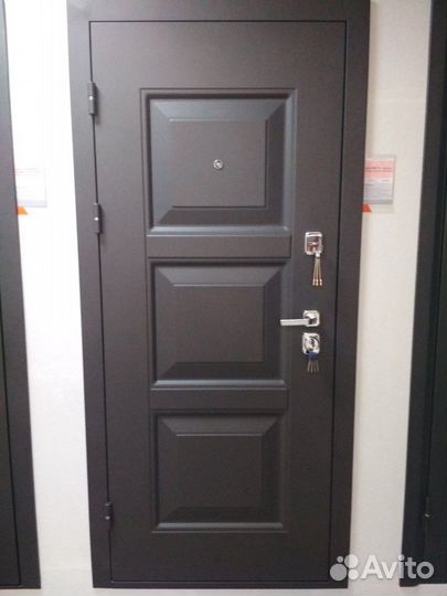 Дверь входная Мега 100мм