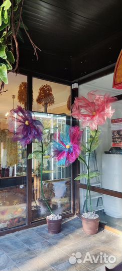 Фотозоны, Декор, Цветы, Аренда конструкции