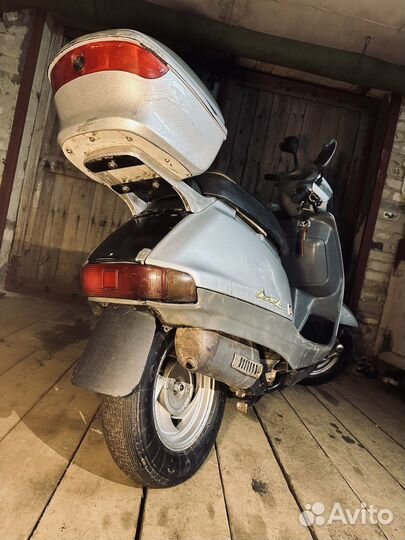 Honda lead 50