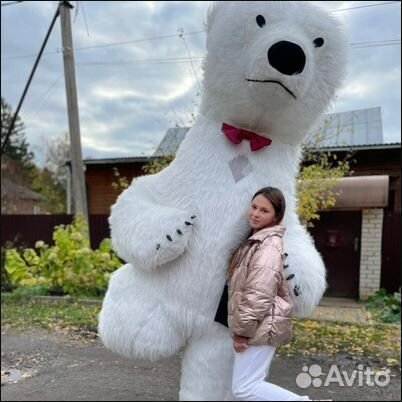 Поздравление от мишки, медведь Тедди, шары