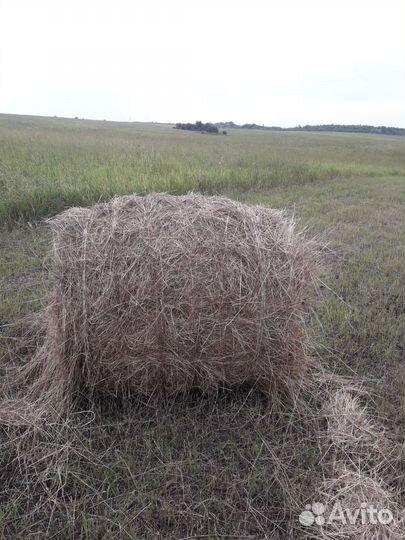 Сено в тюках