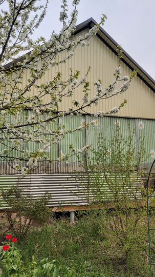 Дача 30 м² на участке 4,1 сот.