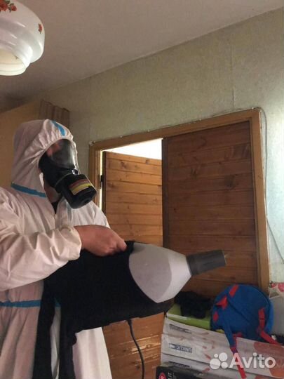 Уничтожение тараканов, клопов, клещей, мышей, блох