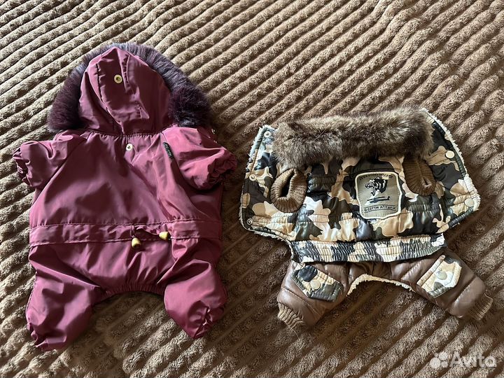 Одежда для собак мелких пород