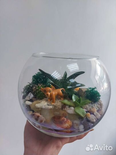 Флорариум с живыми цветами 