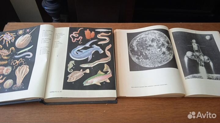 Книги-альбомы