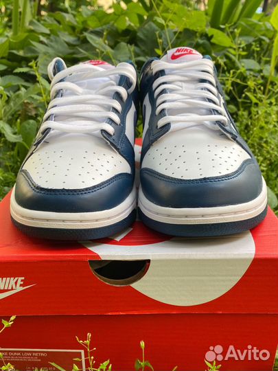 Nike Dunk Low Retro valerian blue