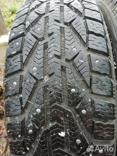 Tigar Ice 185/60 R15