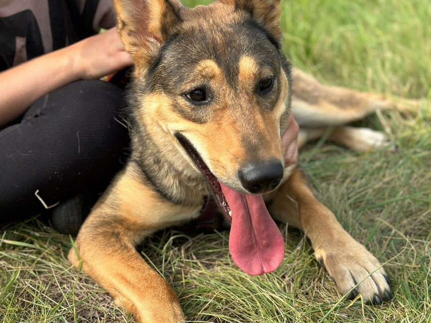 Луна ищет дом