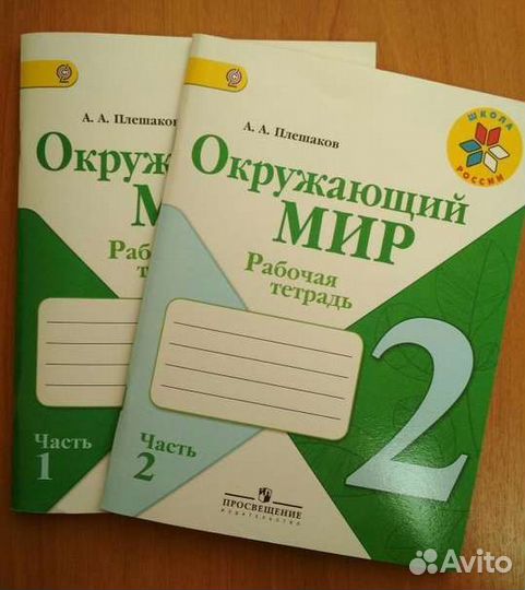 Рабочая тетрадь 2 класс окружающий мир