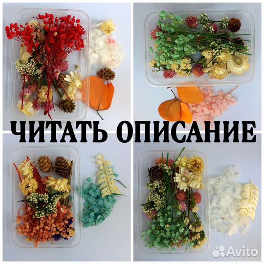 Сухоцветы, сушеные цветы для свечей