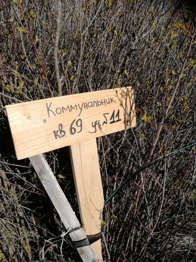 Участок 6 сот. (ИЖС)