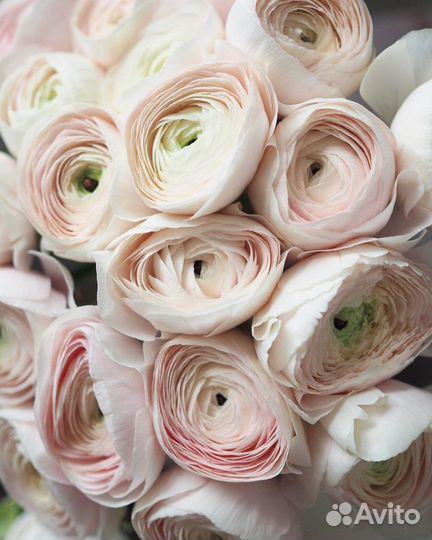 Доставка цветов и букетов