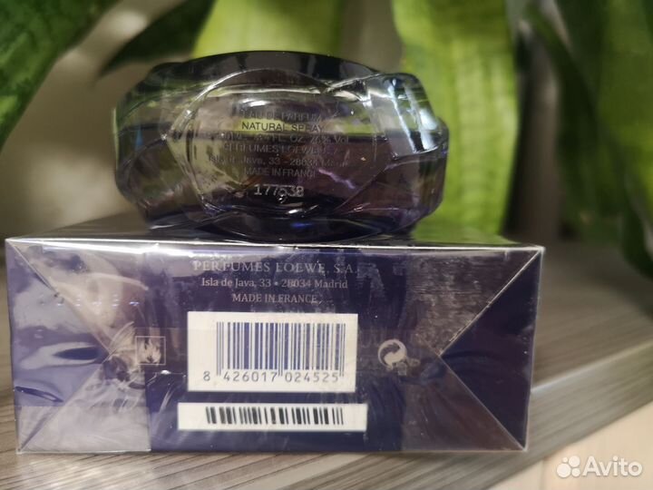 Loewe Quizas 100ml