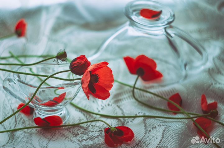 Объектив Гелиос 44М-4, 58 мм f2 (Canon и др.)