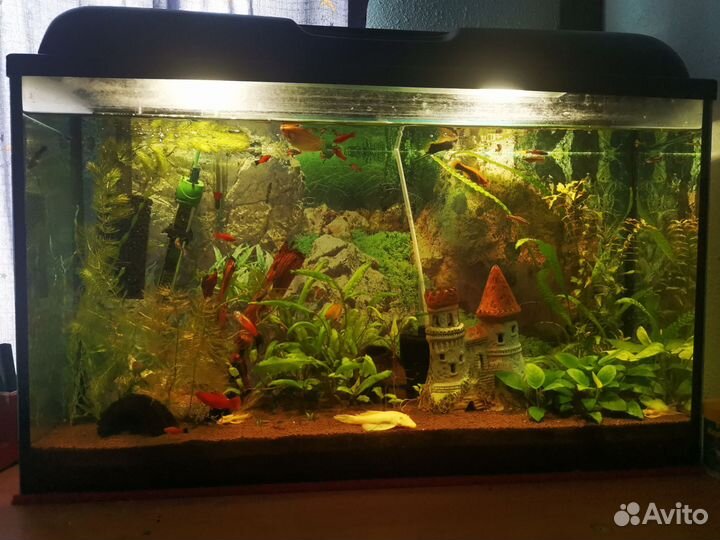 Аквариум