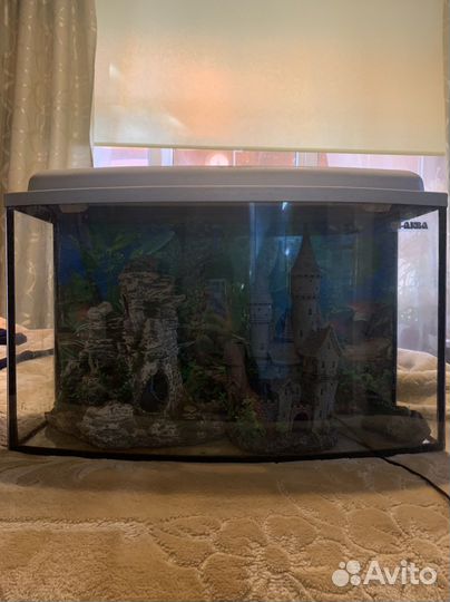 Аквариум 45л и декор