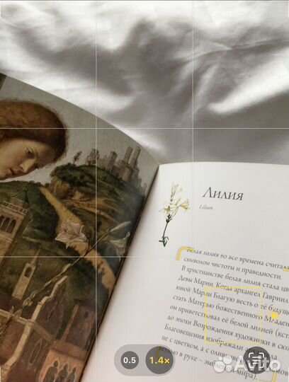 Книга