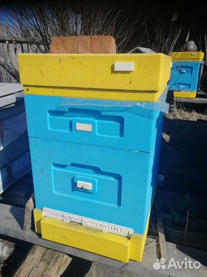 Улей, пчелы