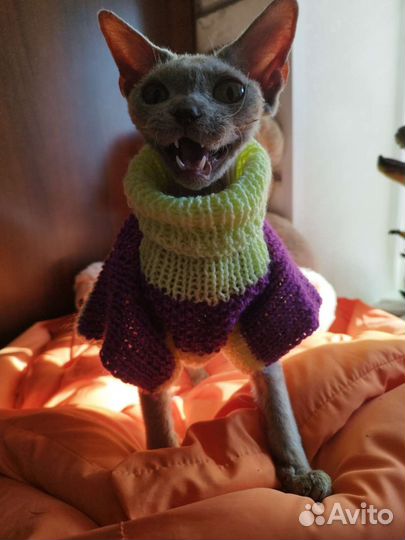 Кофточки для кошек или на маленькую собачку