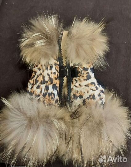 Жилетка для маленькой собачки