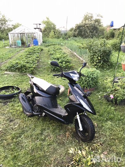 Vento corsa