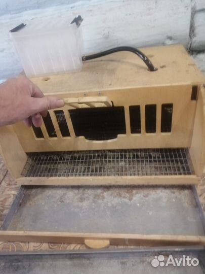 Перепелинная клетка