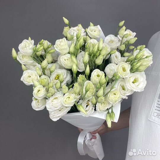 Эустома импортные