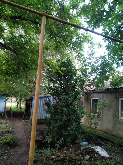 Дом 45,5 м² на участке 25,5 сот.