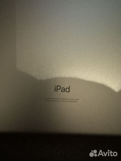 iPad