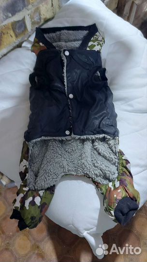 Одежда для животных