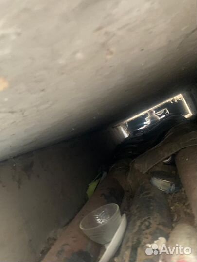 Котенок ищет дом