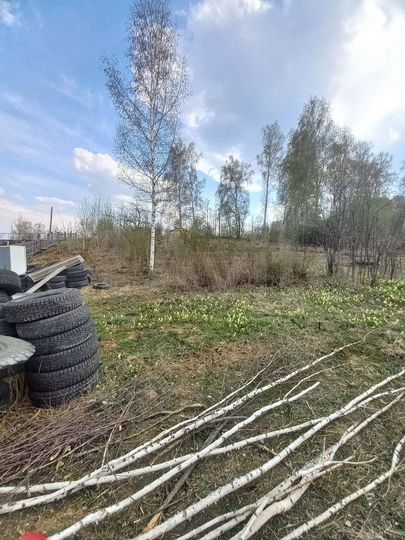 Участок 6,3 сот. (СНТ, ДНП)