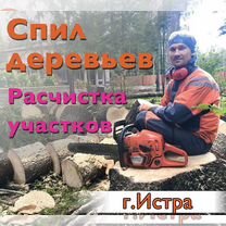 Спил деревьев