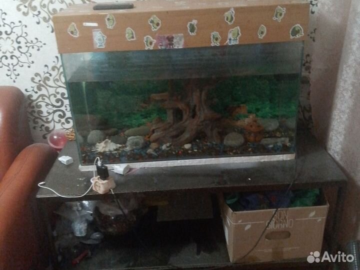 Аквариум 1000 литров и металлический стол