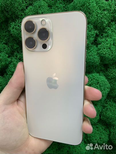iPhone 13 Pro Max, 256 ГБ