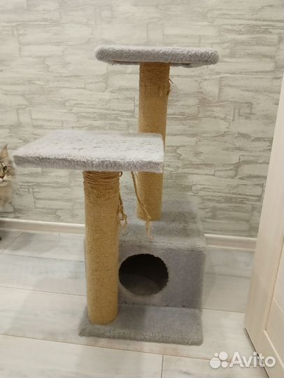 Когтеточка домик для кошки бу