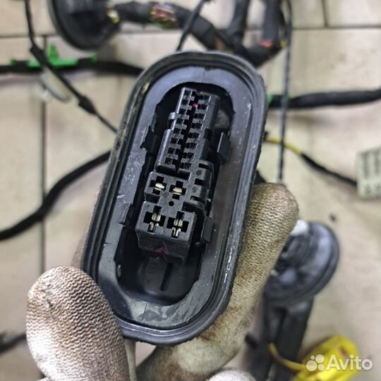 Проводка двери задней правой audi a6 c6
