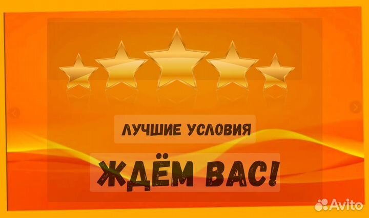 Наборщик заказов Без опыта Еженедельные выплаты