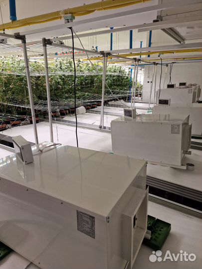 Прибыльный бизнес