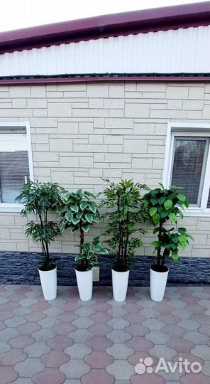 Дерево искусственное бамбук,фикус,манго