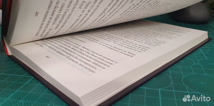 Assassins creed - Ересь