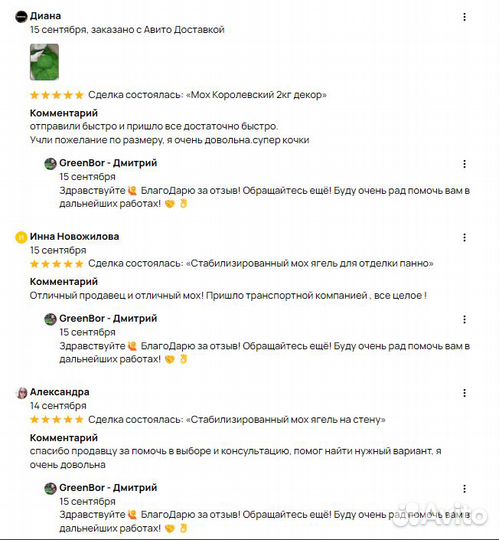 Вечно зеленый мох для дизайна эко панно кашпо